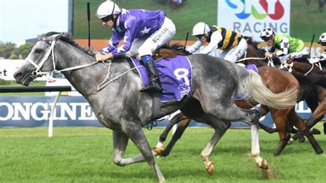 Rosehill Guineas (G1) Odds .